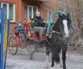 Масленичные катания