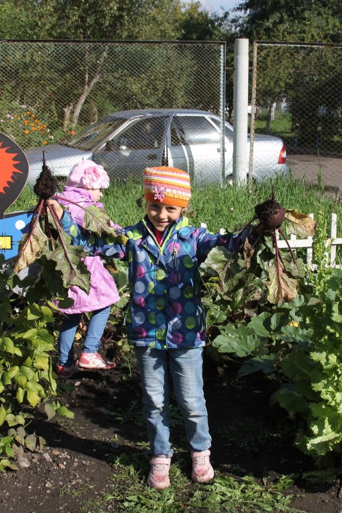 Сбор урожая 2014