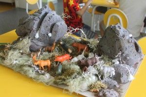 IMG_3345
