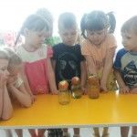 IMG-20160419-WA0008