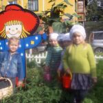 Сбор урожая