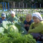Хорош урожай