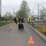 img_6937