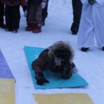 img_7105
