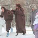 IMG_8183