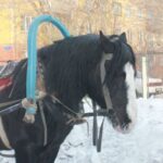img_8439